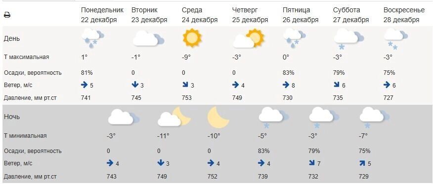    На этой неделе в Белгороде будет один из самых холодных дней за весь декабрь   Гидрометцентр России