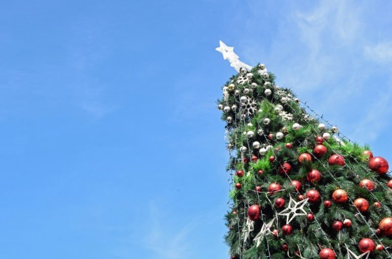    Фото: freepik.com/victor217 Ольга Шмырева