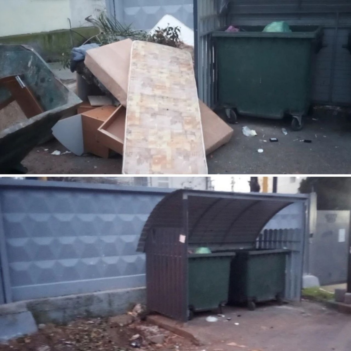    Фото: Telegram/Сочи Официальный