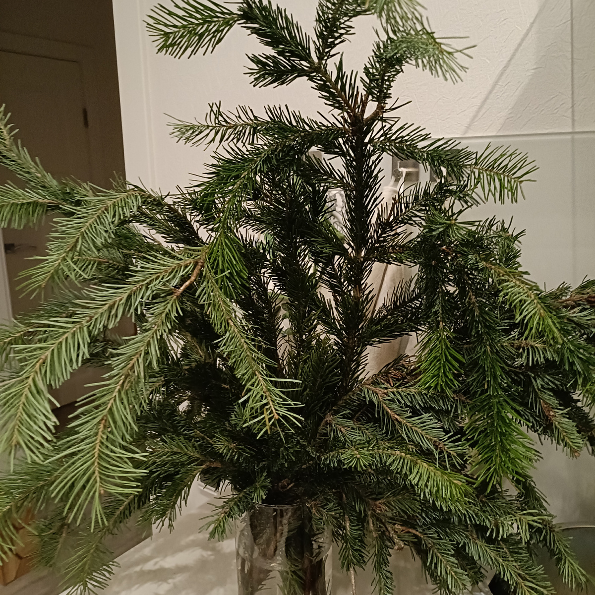 Не уверена, что буду наряжать. Вроде и так не плохо😅 А вблизи даже немного пахнет елкой🌲