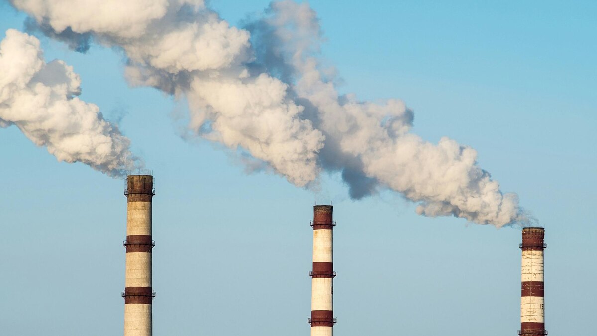    Фото: unsplash.com