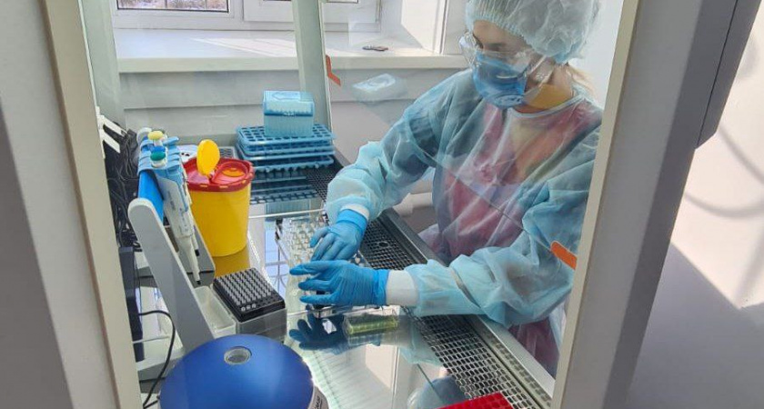    Фото пресс-службы правительства Иркутской области