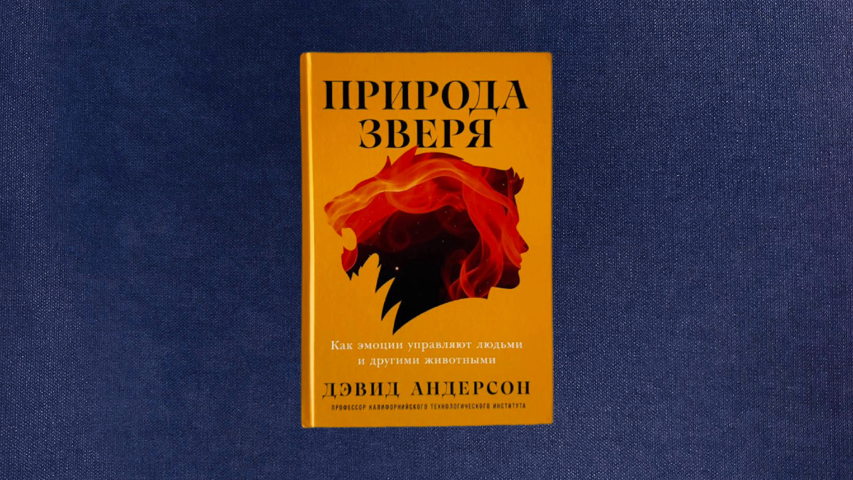 Дэвид Андерсон. Природа зверя