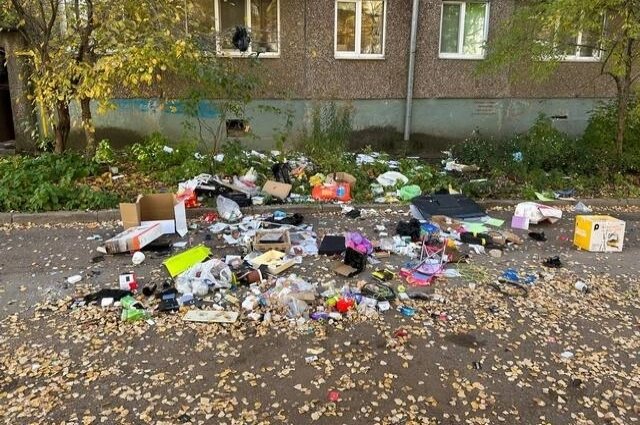    Полину нашли в общей куче мусора. Фото: АиФ/ Лира Султанова