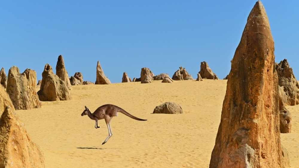     Фото: ChameleonsEye/Shutterstock/FOTODOM