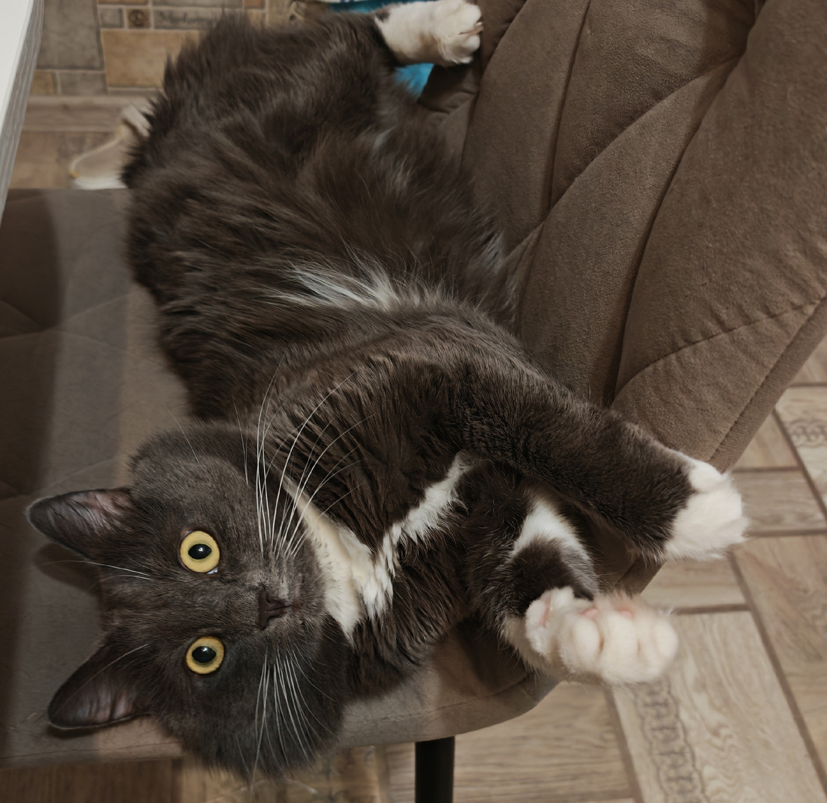 Фото автора канала.