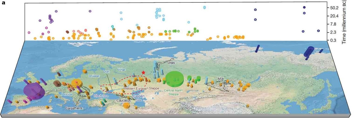 Распространение одомашненных лошадей в Евразии (желтый цвет). https://dzen.ru/a/YYBLEXwkqwWwyY5m