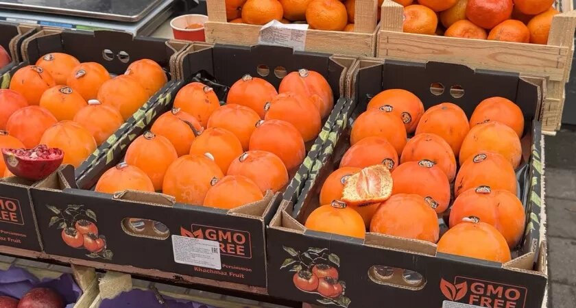    Фото: Первый городской канал Калининград