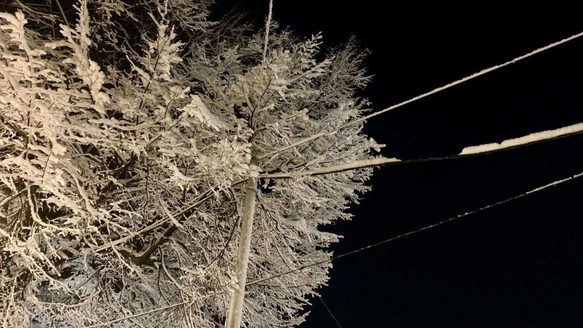     Источник: inkazan.ru