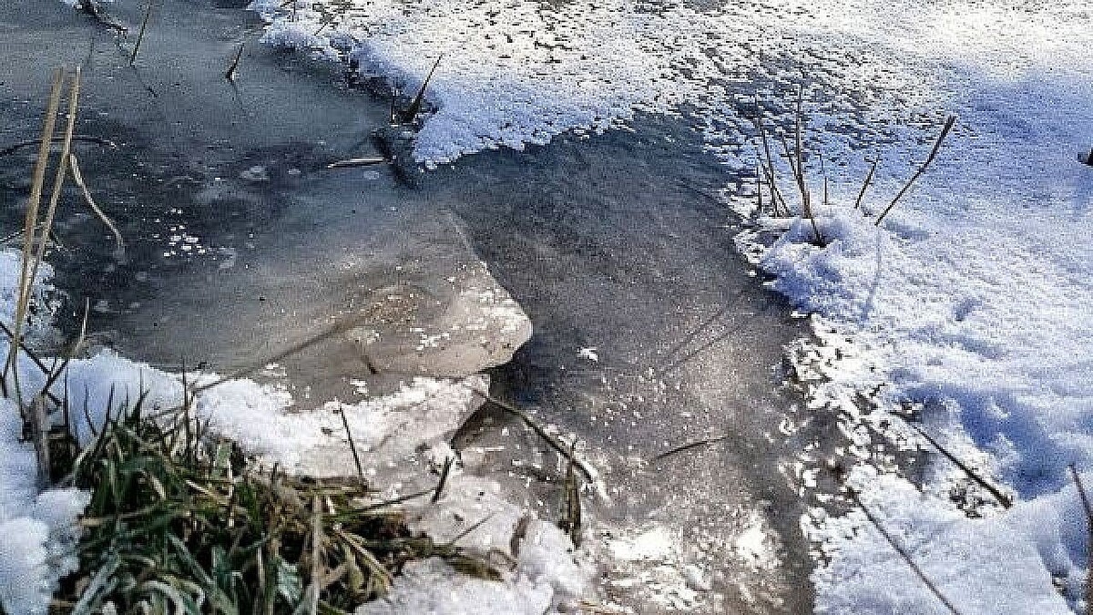    Изображение создано при помощи ИИ