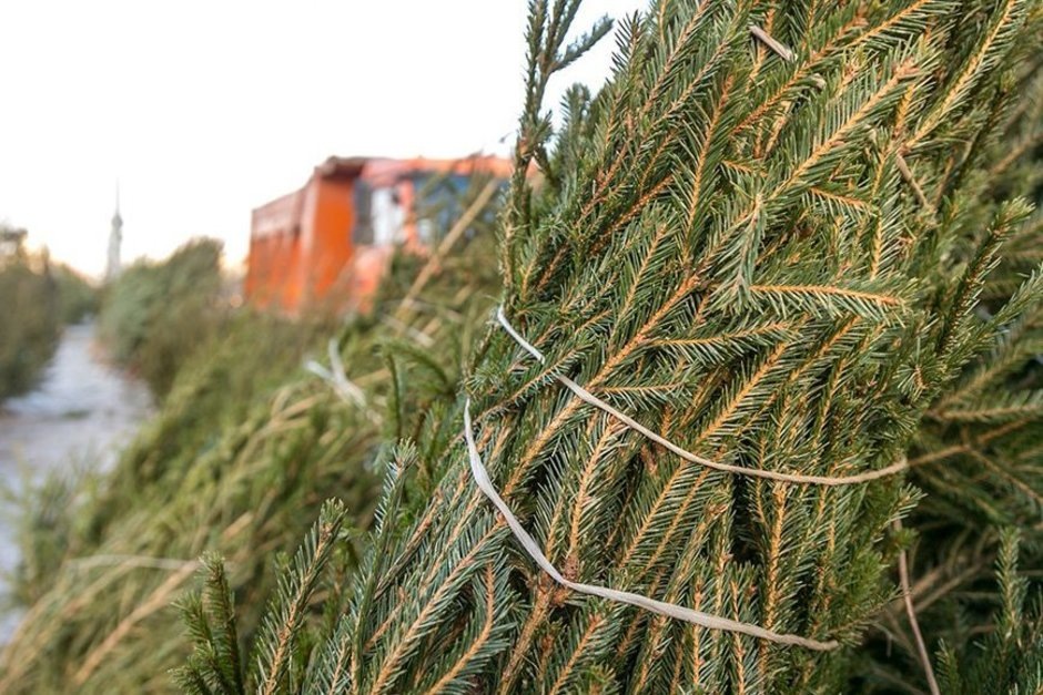   взято с сайта kzn.ru