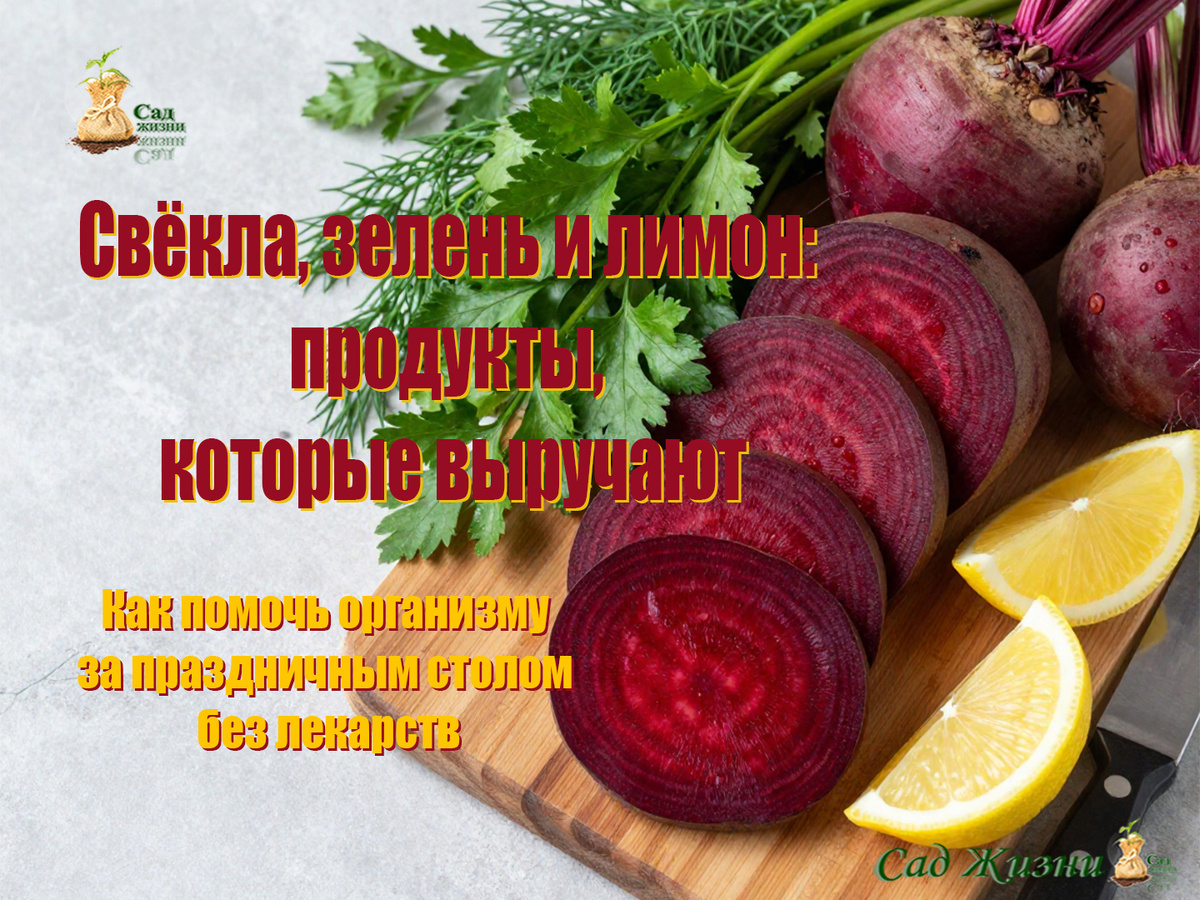 Как помочь организму за праздничным столом без лекарств