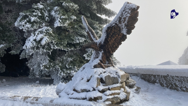      Фото: ИА «Победа26»