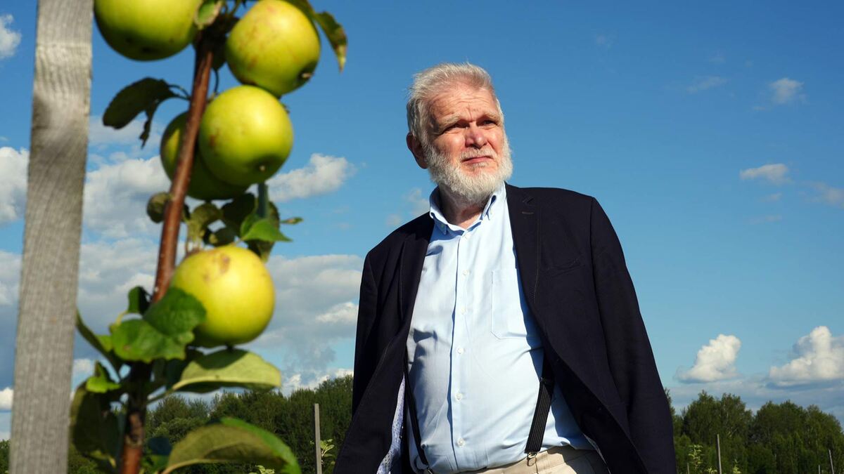 Фото: ИЗВЕСТИЯ/Эдуард Корниенко