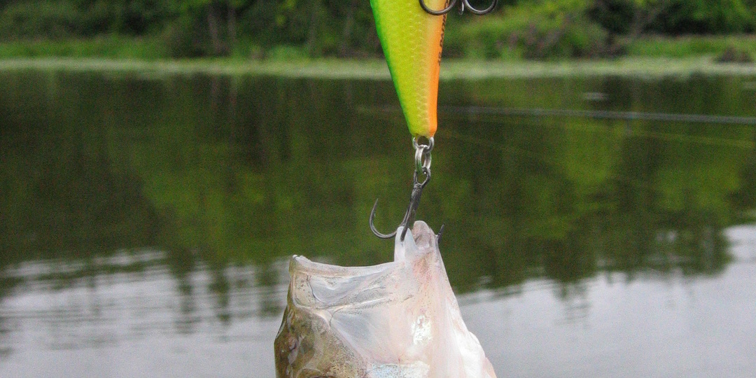 Редкие воблеры: Owner Cultiva mira shad