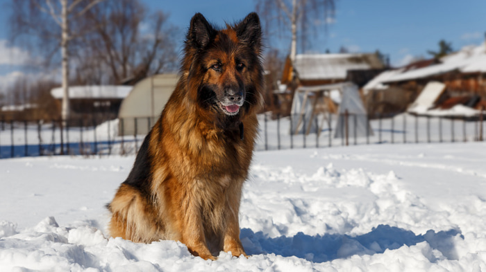    Фото: Freepik.com