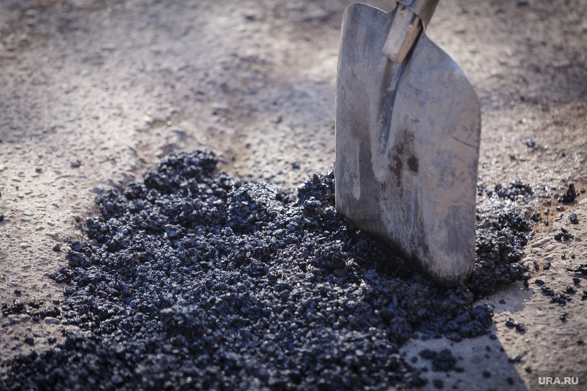 Зять убитой закопал тело на кладбище домашних животных. Фото: Илья Московец © URA.RU