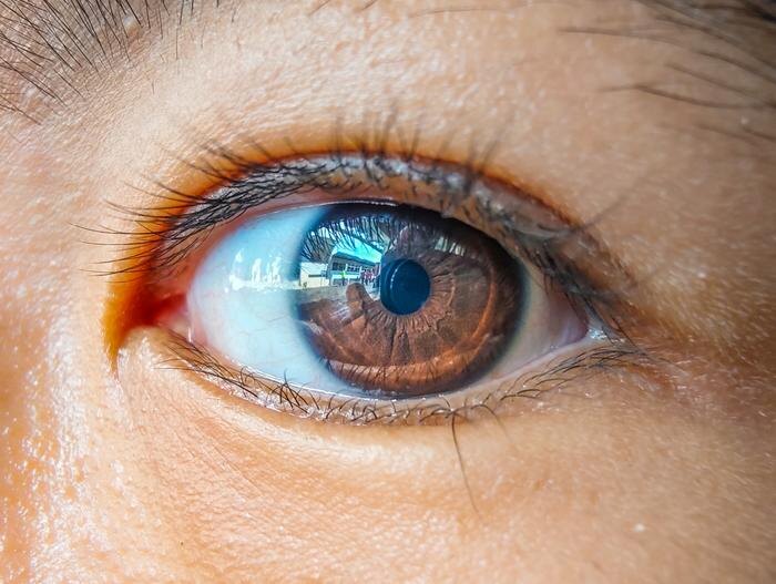 Обложка © Shutterstock / FOTODOM / Elfvenom14