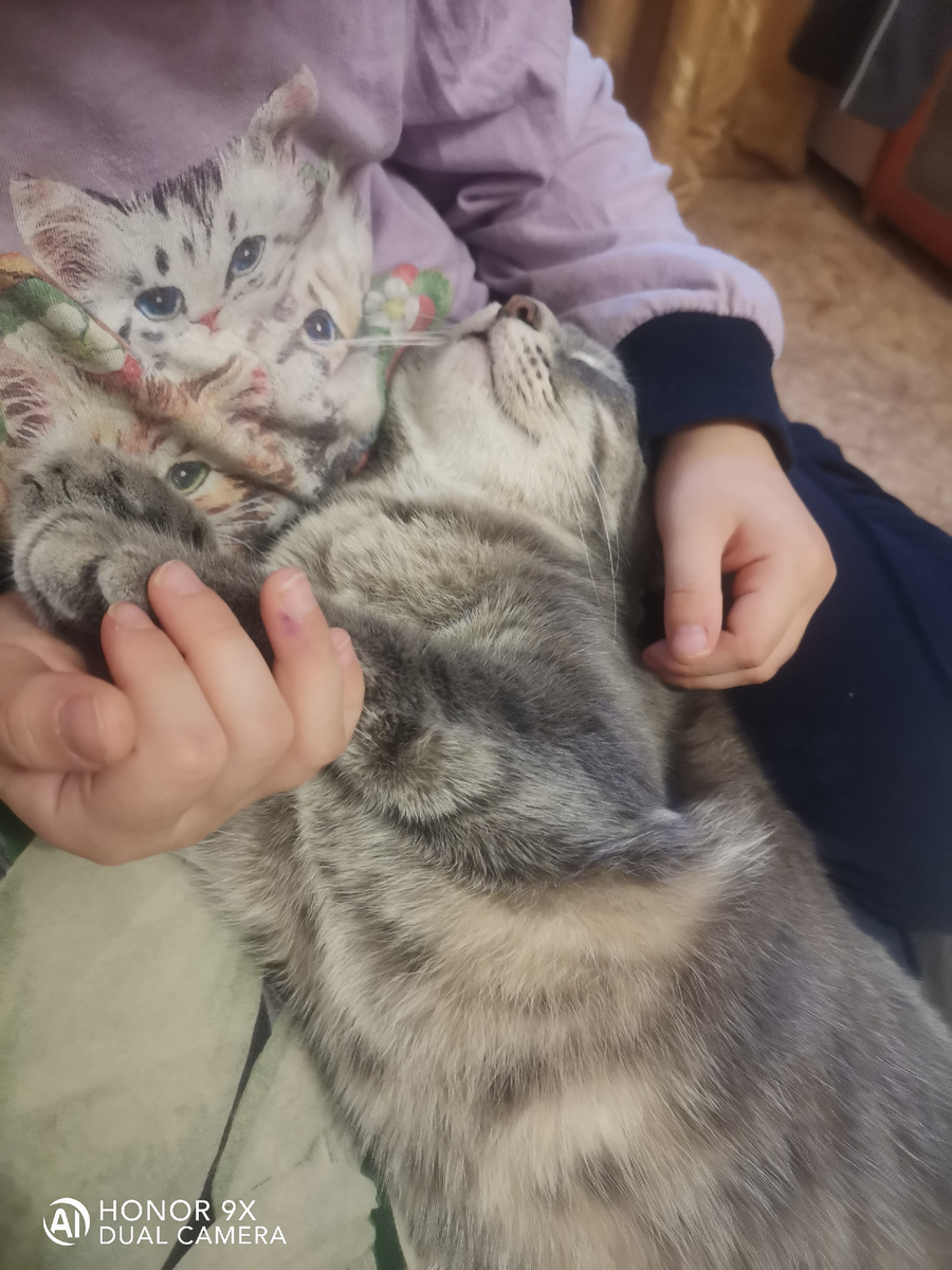 Васюля отдыхает.