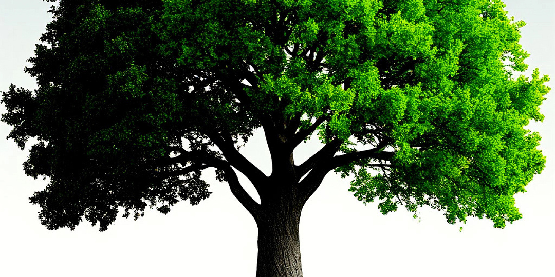 Семь основных базовых эмоциональных систем: нейроархеология нашей психики