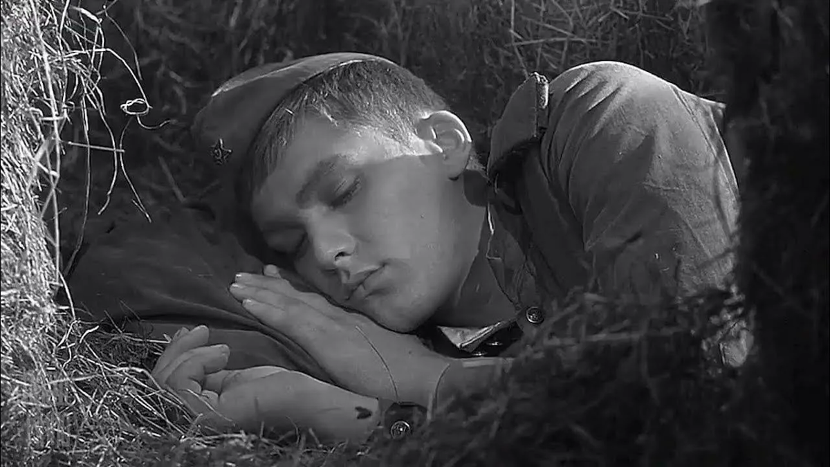 Яндекс картинки