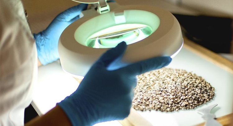    Фото: ФГБУ ЦОК АПК