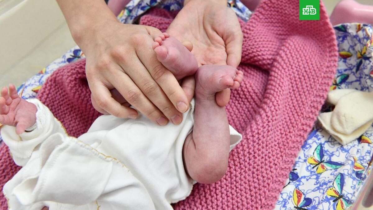    Фото: sargkb8 / vk.com