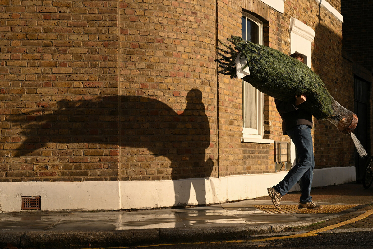 Мужчина несет рождественскую елку в Лондоне, Великобритания, 23 ноября 2025 года ©Jaimi Joy/Reuters  📷