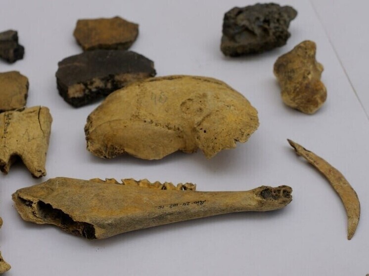     ФОТО С САЙТА ПРАВИТЕЛЬСТВА ИРКУТСКОЙ ОБЛАСТИ