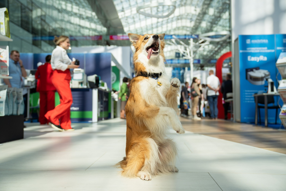 Фото: Александр Плонский / «ВиЖ»