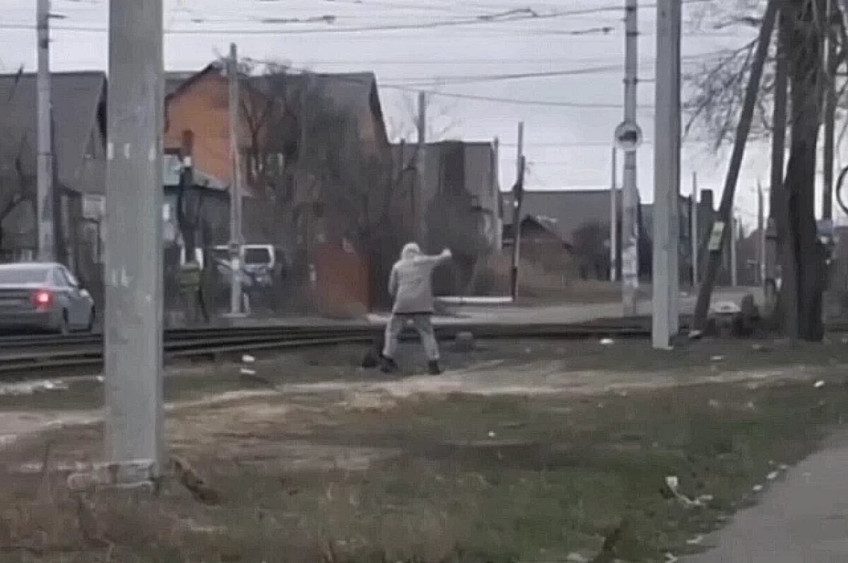    Видео с волгоградцем, избивающим собаку, разлетелось по стране