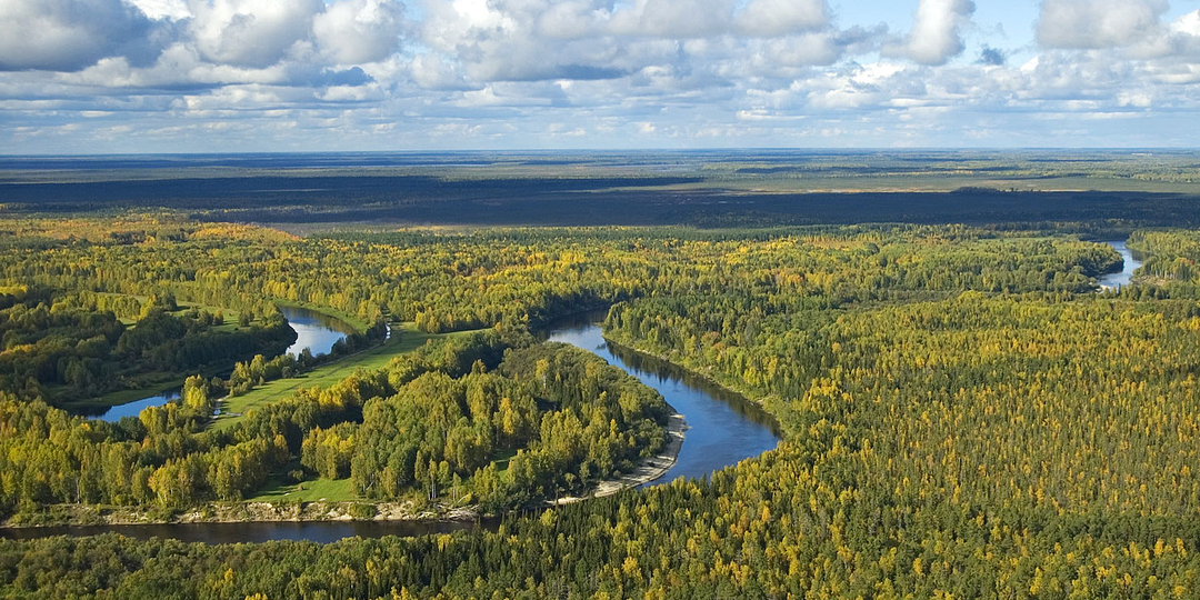 Васюганские болота: почему здесь веками пропадали люди