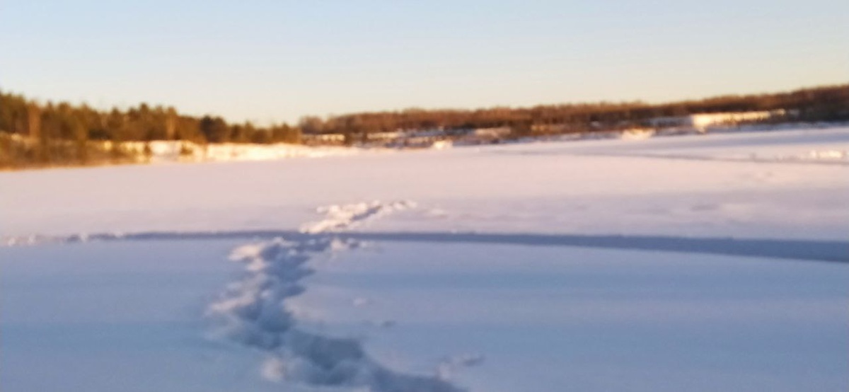 Природа в селе 