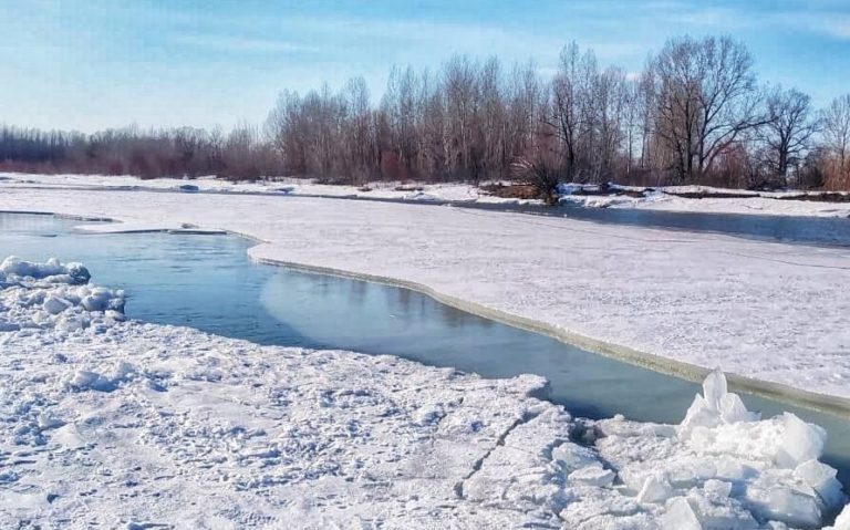    Фото из телеграма МЧС Илья Федоров