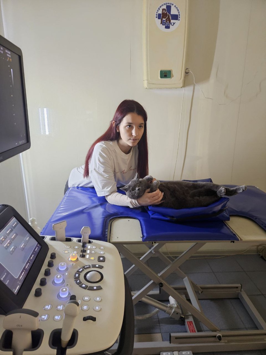 На УЗИ сказали, что есть проблемы с мочевым пузырём и поджелучной железой