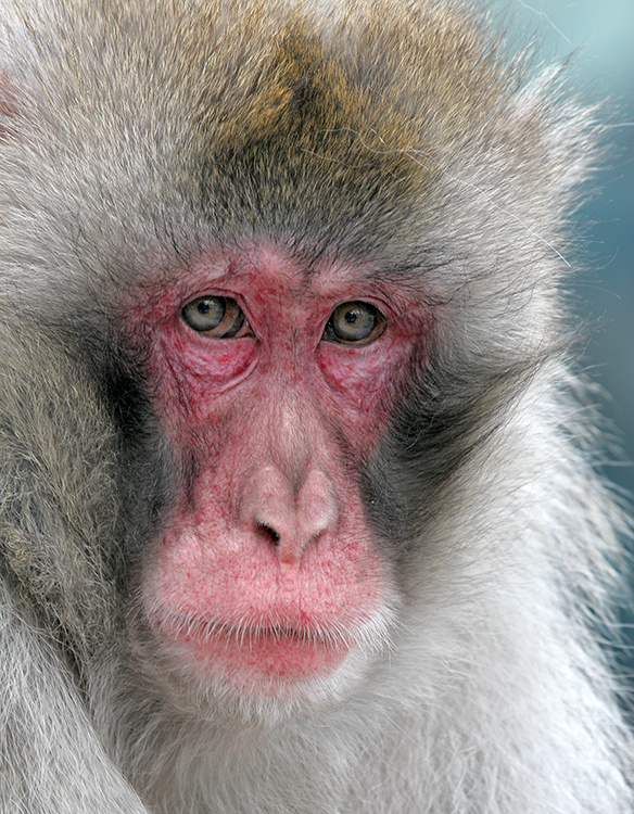 Листайте галерею