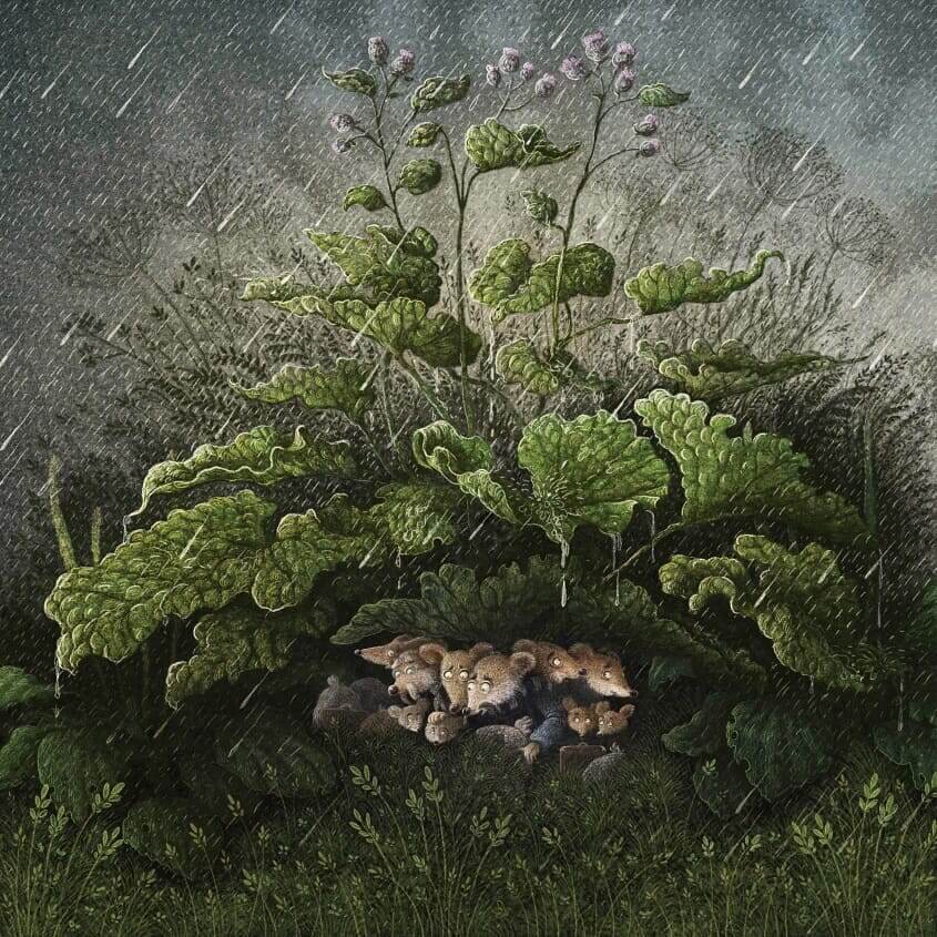 � ������ ����� (Marcin Minor). ���. � ����� �� ������� ����.