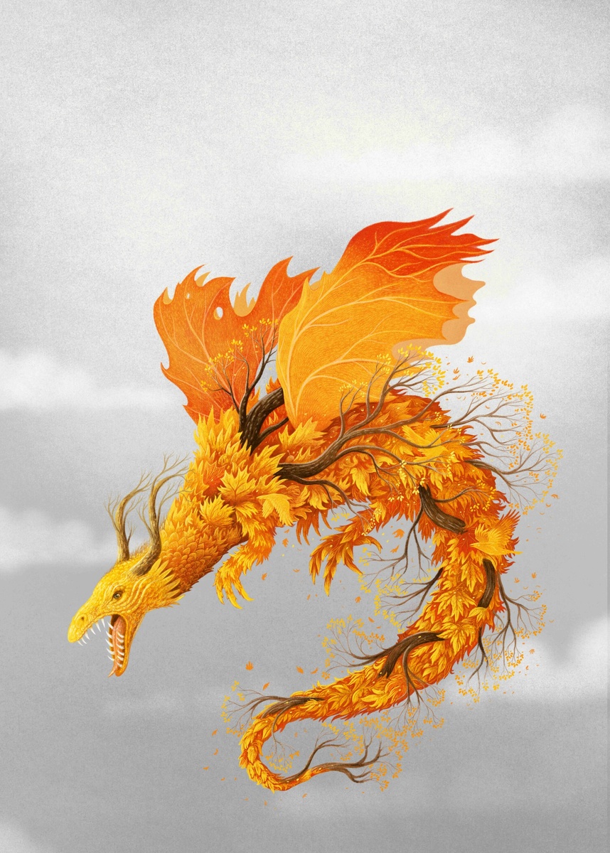 � ������ ����� (Marcin Minor). ������ ��������.