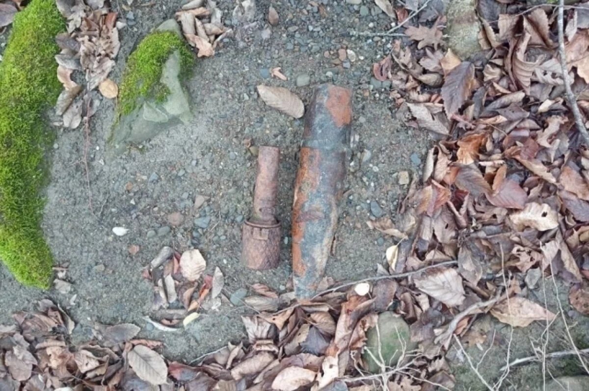    В Туапсинском округе уничтожили опасную советскую гранату