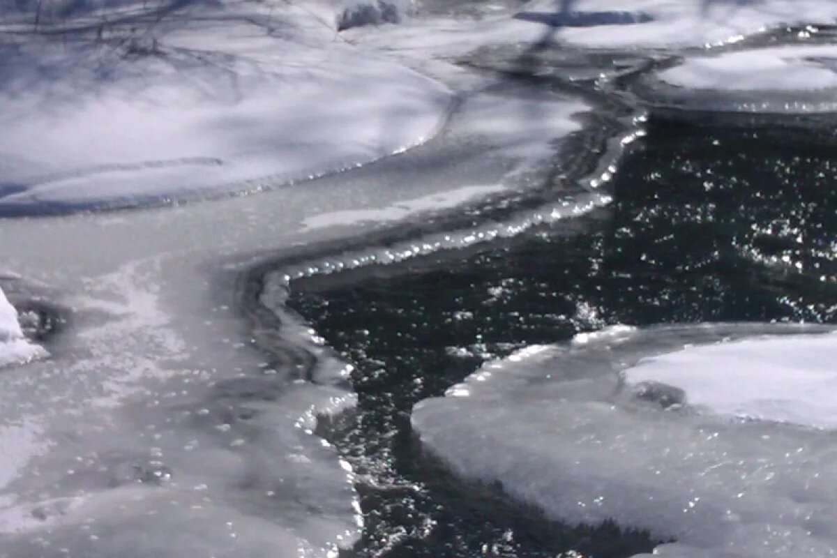    В Тамбовской области жителей просят не выходить на опасный тонкий лёд