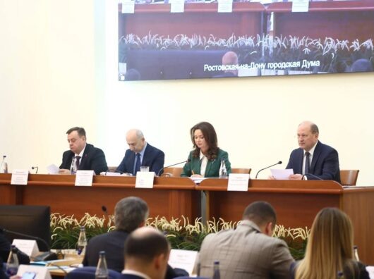    Заседание думы // Фото из телеграм-канала Александра Скрябина