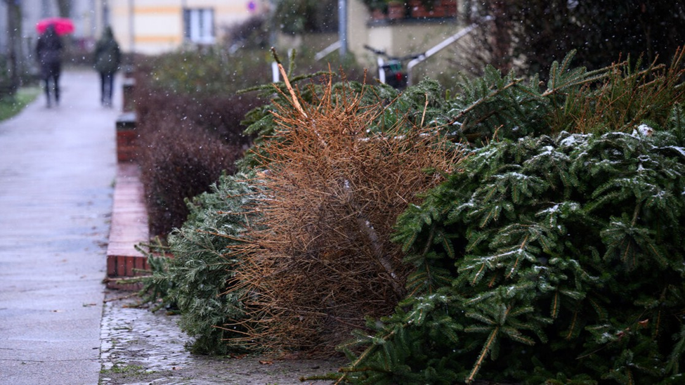 Источник: novochag.ru