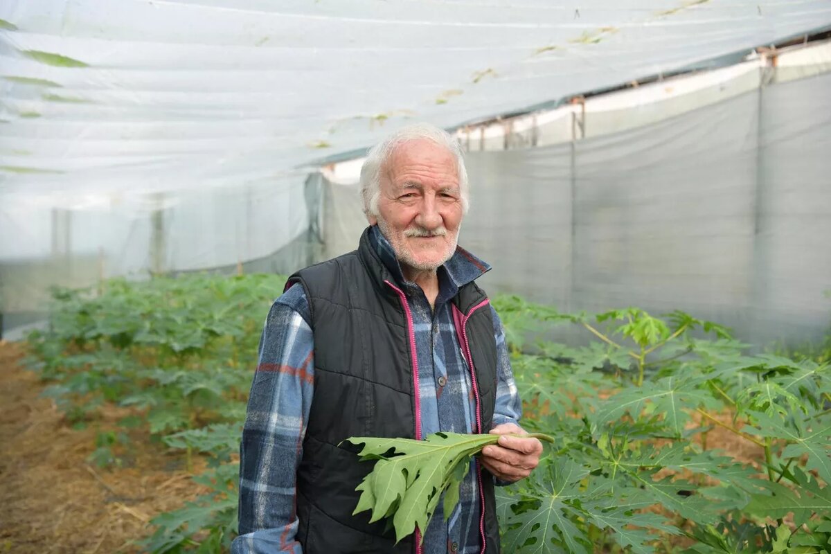 © Sputnik / Томас Тхайцук