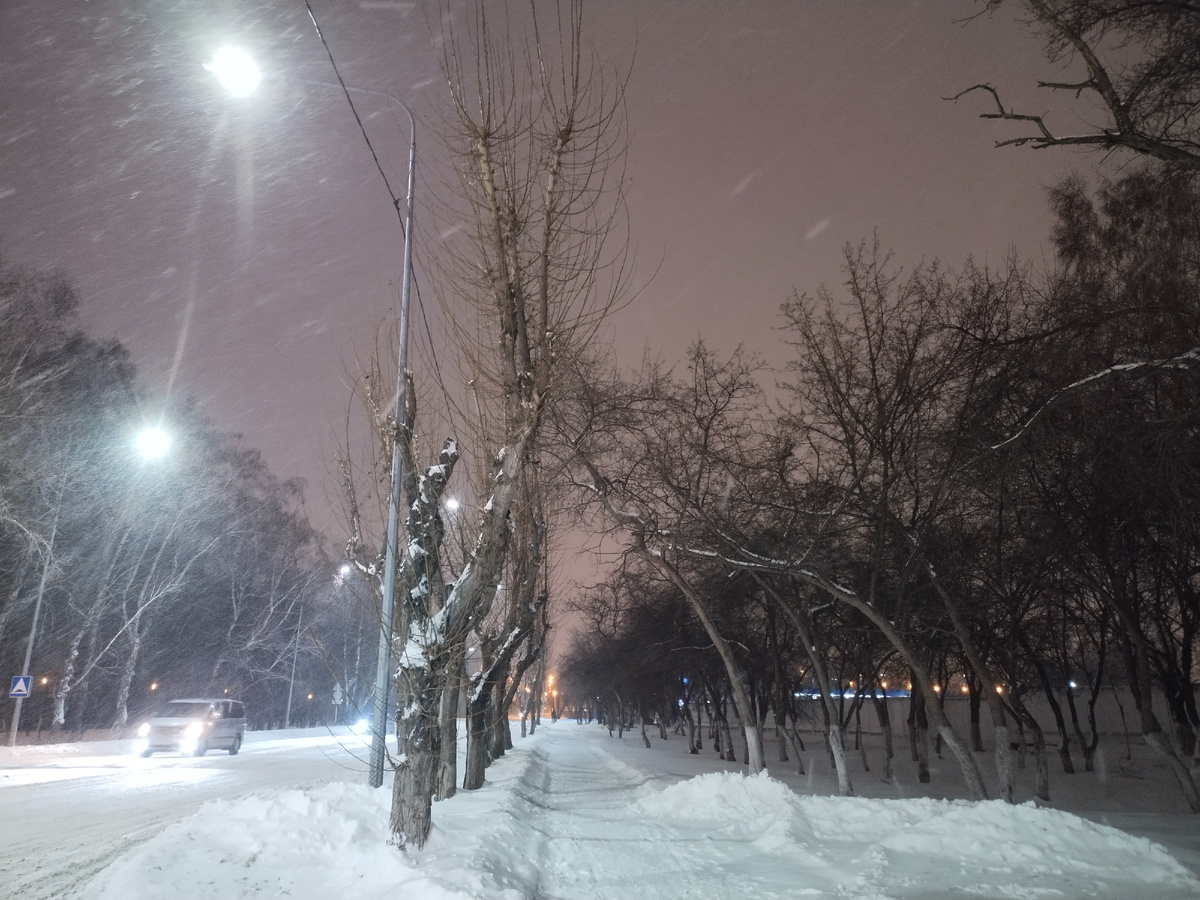 фото автора. А снег идёт.... Вокруг красота (23.12.2025 время 18:21)