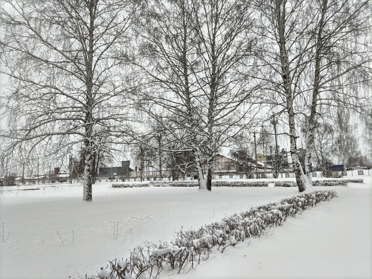 Фото автора.