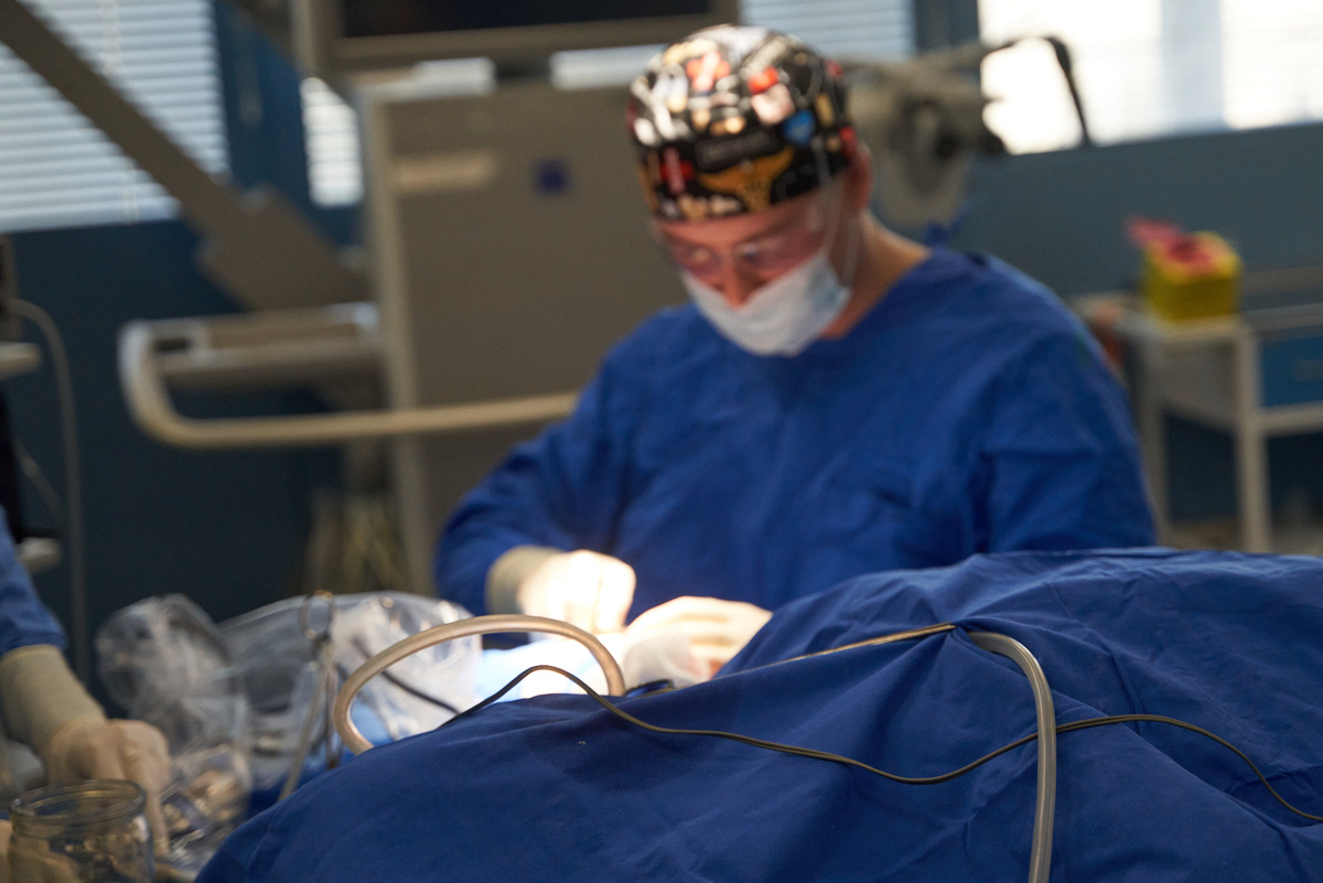    Фото: Лидия Аникина