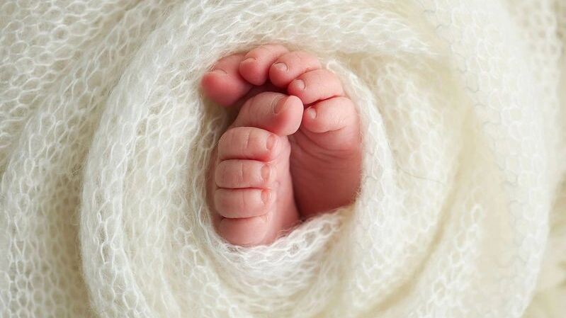    Фото: Vad-Len/Shutterstock/Fotodom