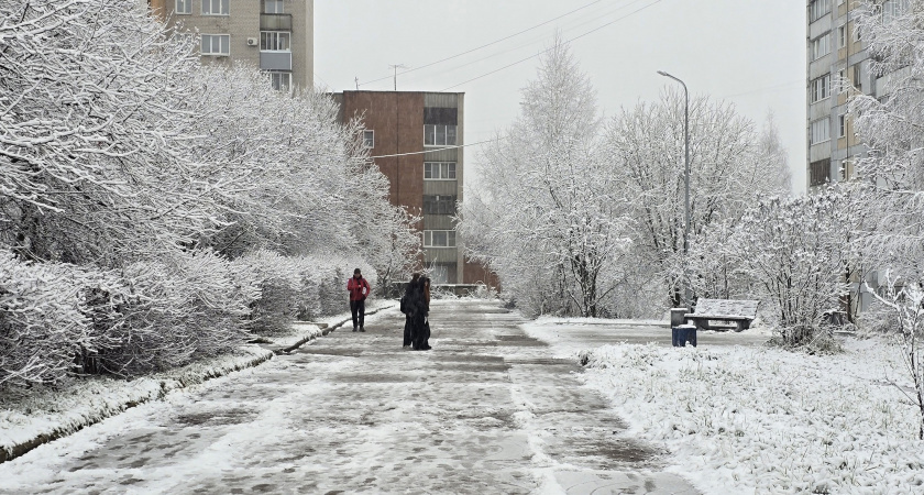    Фото prochepetsk.ru