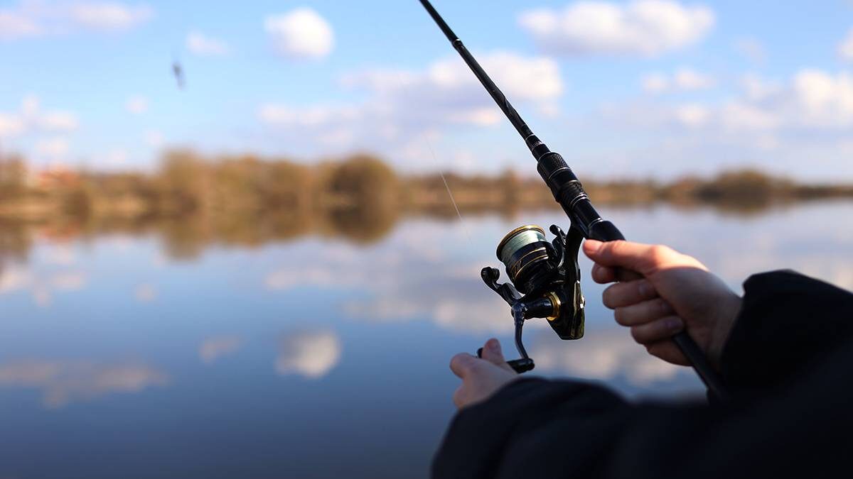    Фото: Shutterstock