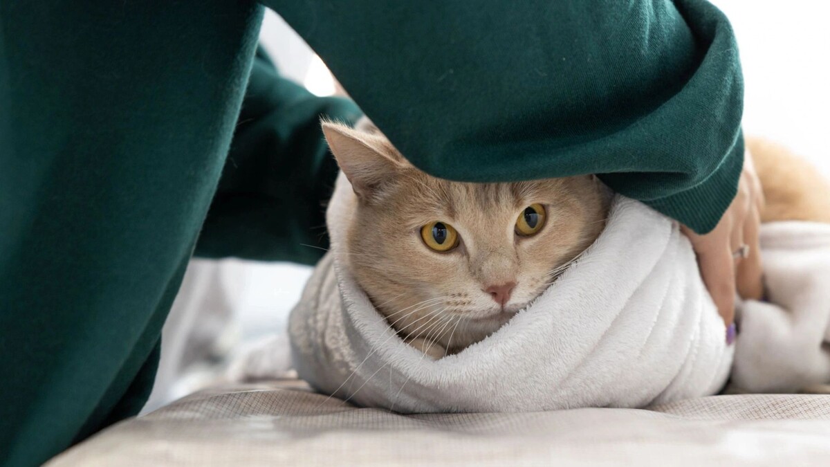    Фото: Федор Воронов/«Ямал-Медиа»